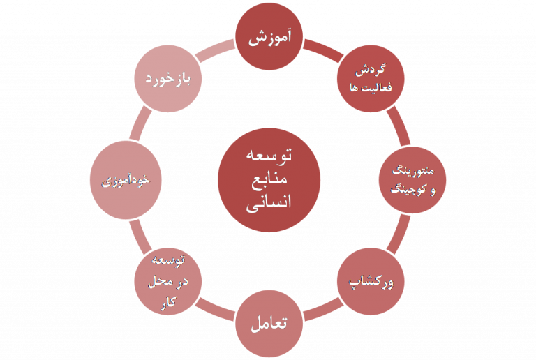 نقش توسعه منابع انسانی در یک سازمان وبلاگ فینتو مدیریت و توسعه